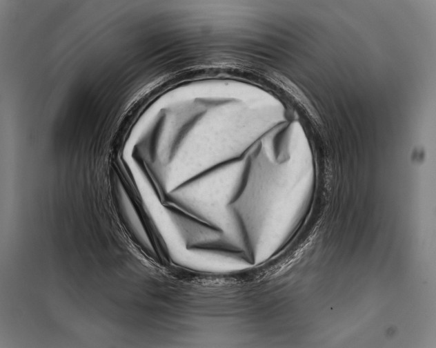 X0000099510826200806121437