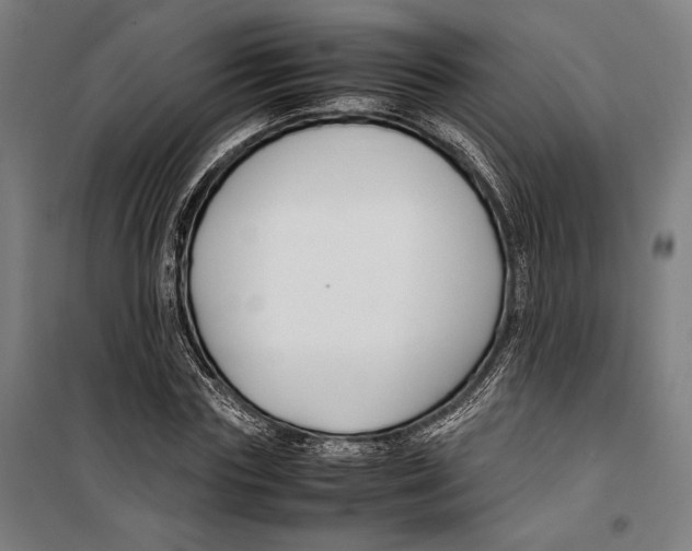 X0000099510827200806121437
