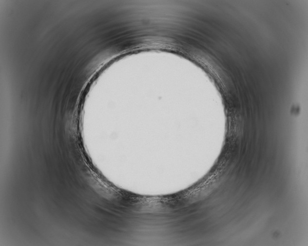 X0000099510828200806121437