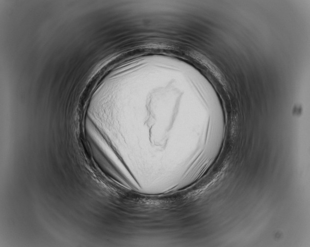X0000099510829200806121437