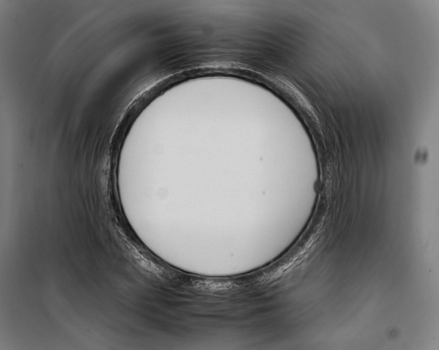 X0000099510831200806121437