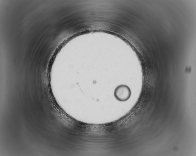 X0000099510832200806121437