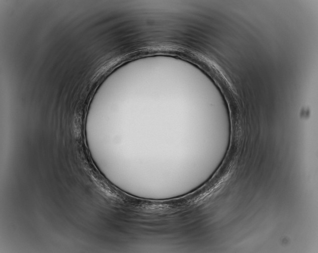 X0000099510833200806121437