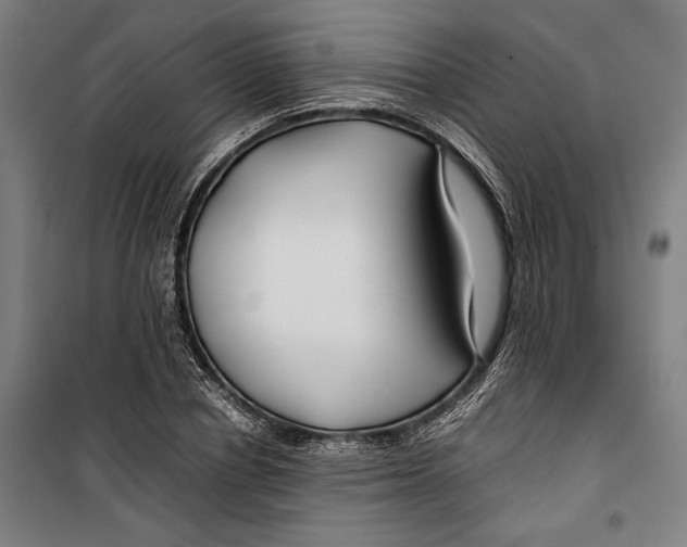 X0000099510834200806121437
