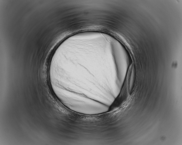 X0000099510835200806121437