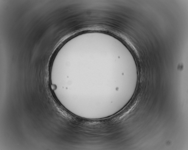 X0000099510837200806121437