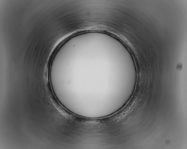 X0000099510838200806121437
