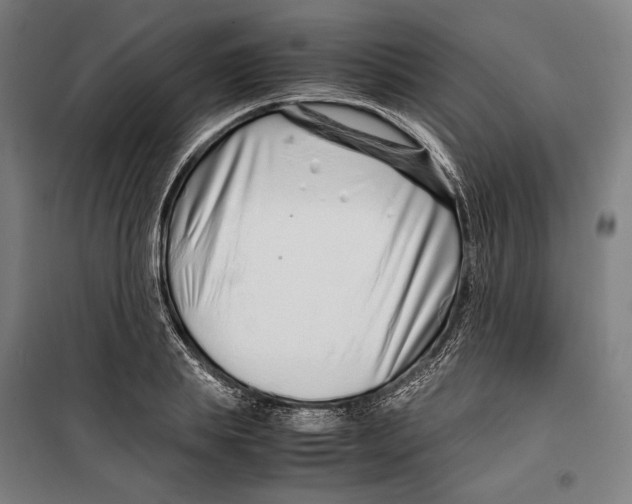 X0000099510839200806121437