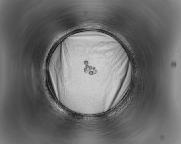 X0000099510840200806121437
