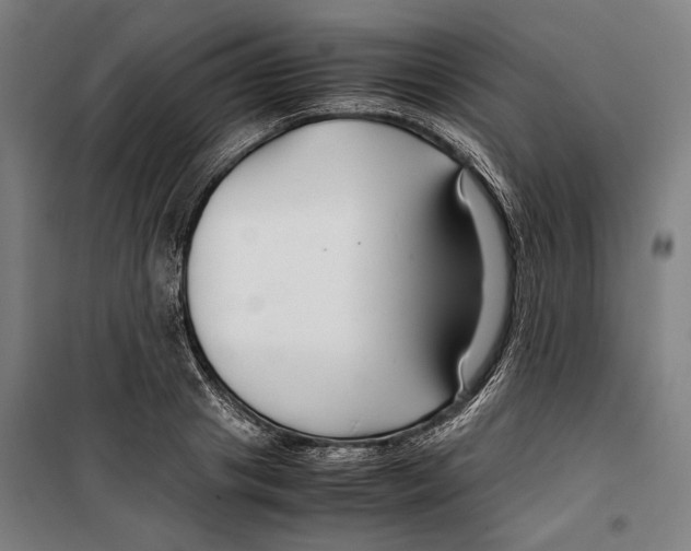 X0000099510841200806121437