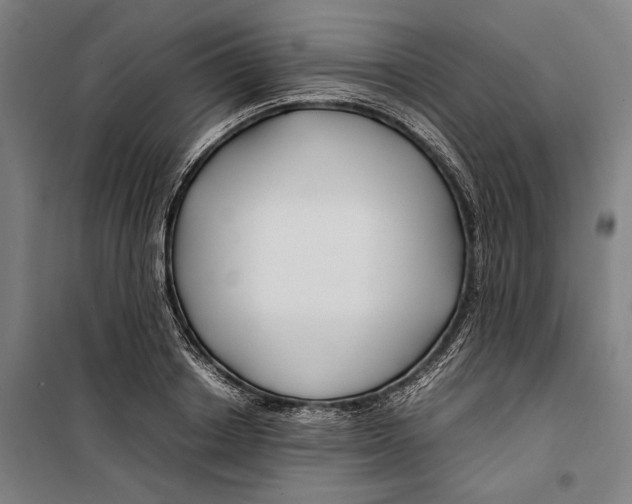 X0000099510842200806121437