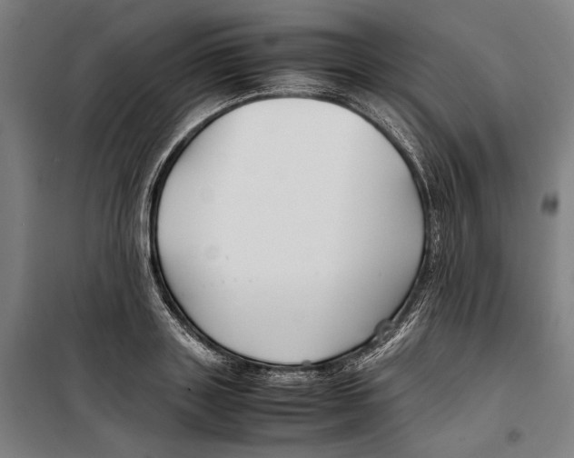 X0000099510843200806121437