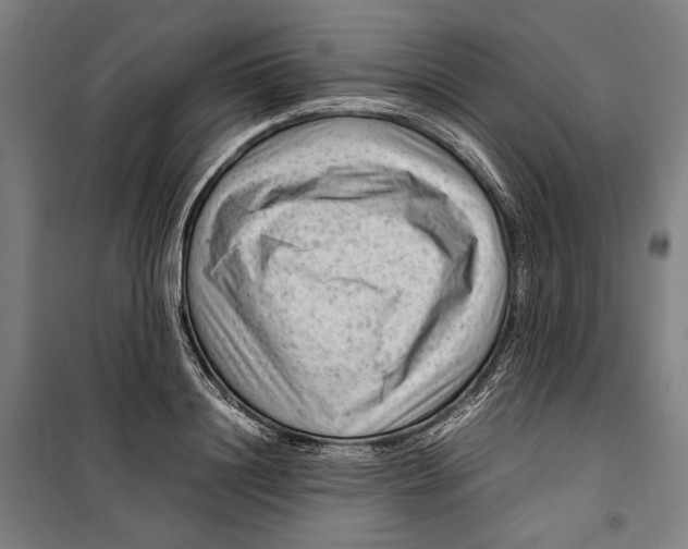 X0000099510844200806121437