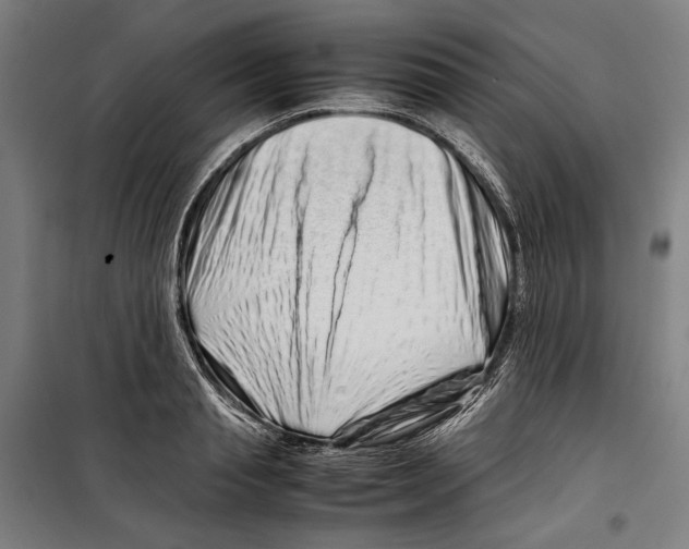 X0000099510845200806121437