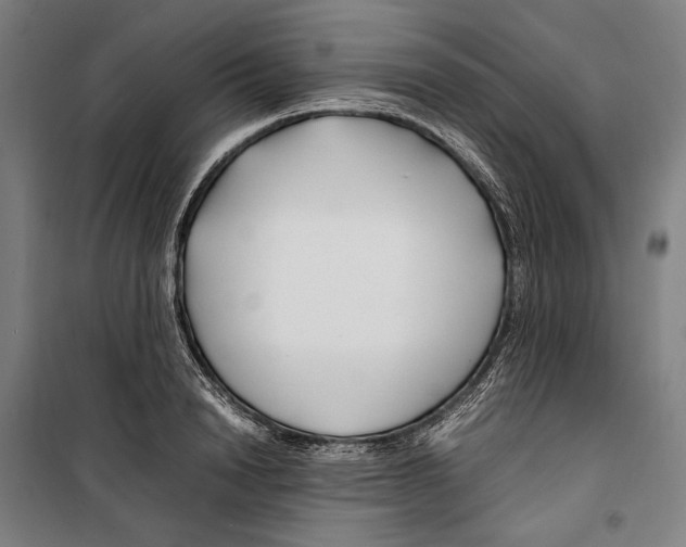 X0000099510846200806121437