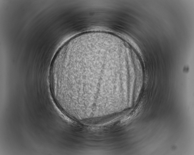 X0000099510847200806121437