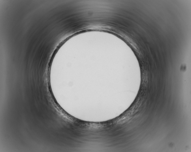 X0000099510848200806121437