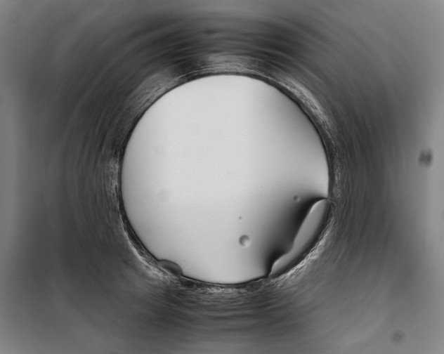 X0000099510849200806121437