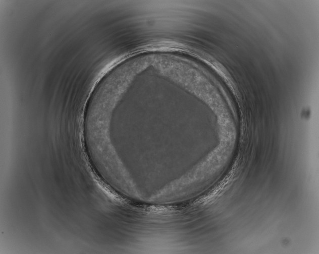 X0000099510850200806121437