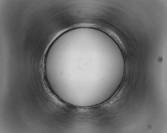 X0000099510852200806121437