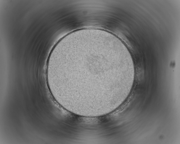 X0000099510856200806121437