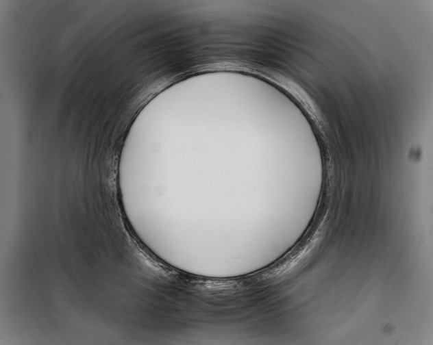 X0000099510857200806121437