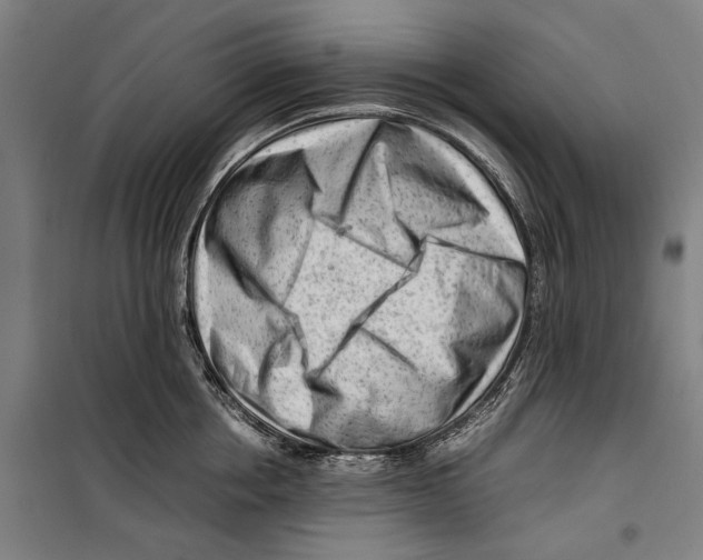 X0000099510858200806121437