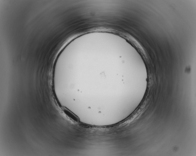 X0000099510860200806121437