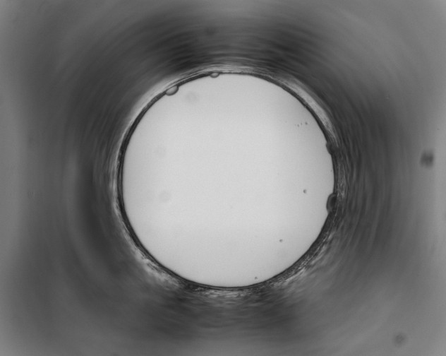 X0000099510861200806121437