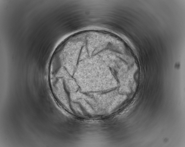 X0000099510862200806121437
