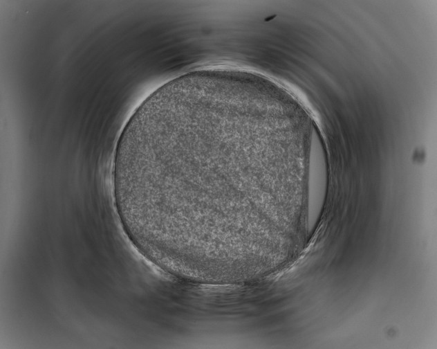 X0000099510863200806121437