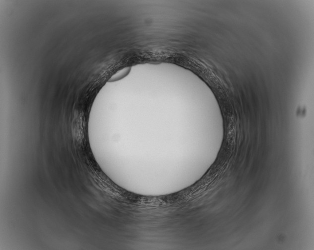 X0000099510866200806121436