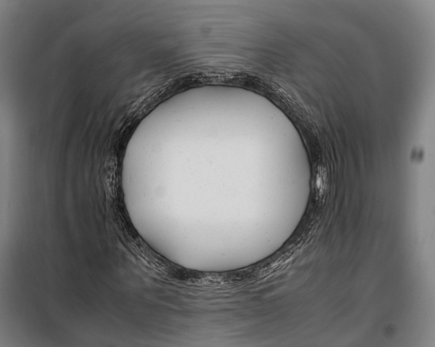 X0000099510867200806121436