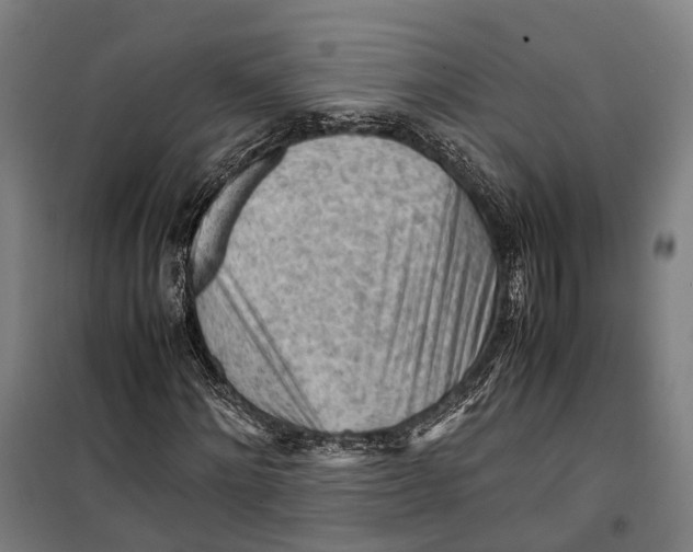 X0000099510868200806121436