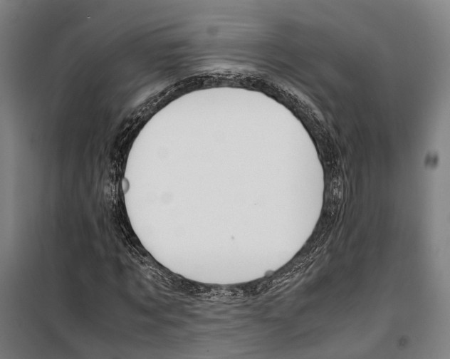 X0000099510869200806121436