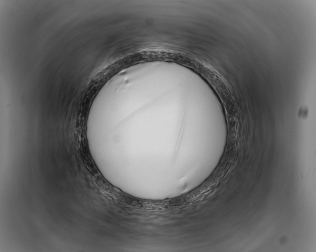 X0000099510870200806121436