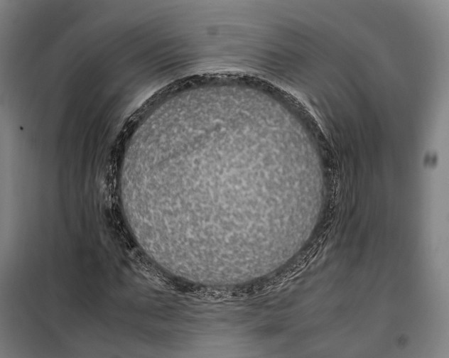 X0000099510871200806121436