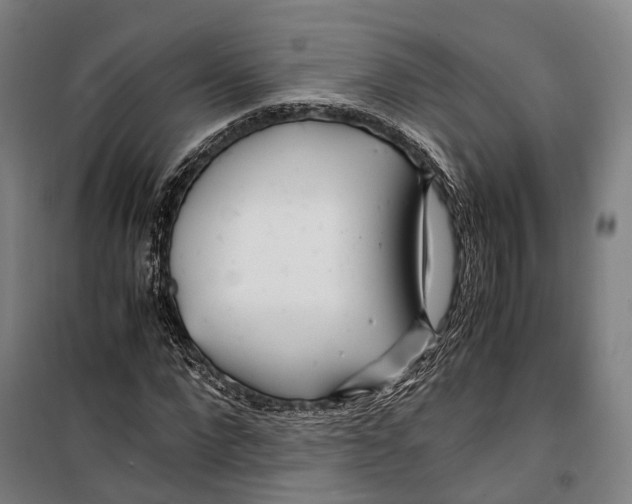 X0000099510872200806121436
