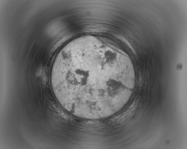 X0000099510874200806121436