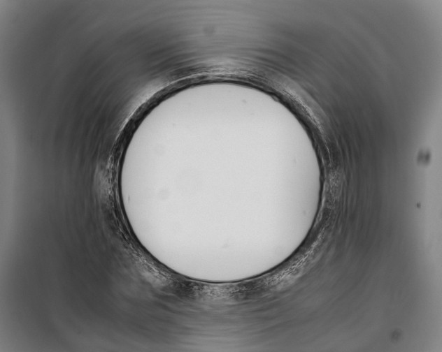 X0000099510875200806121436