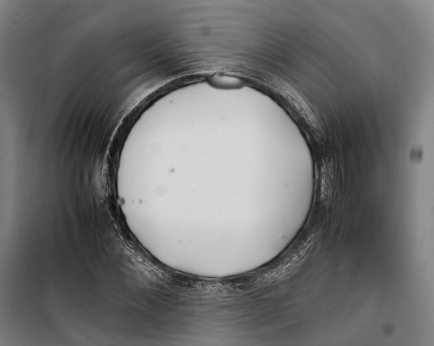 X0000099510876200806121436