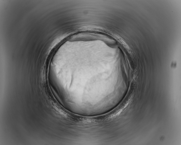 X0000099510877200806121436