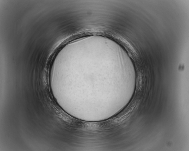 X0000099510878200806121436