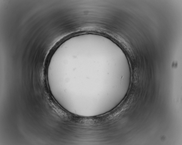 X0000099510880200806121436
