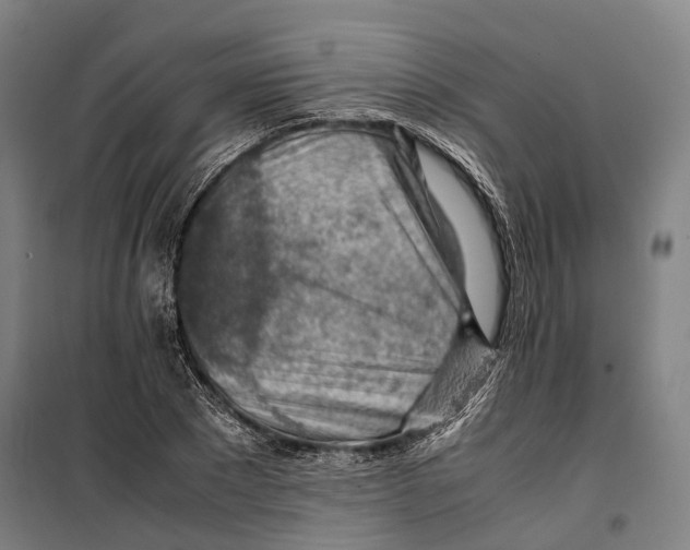 X0000099510881200806121436
