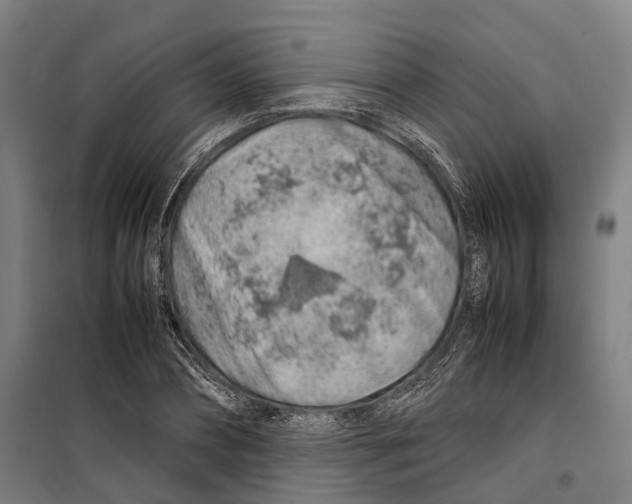 X0000099510882200806121436