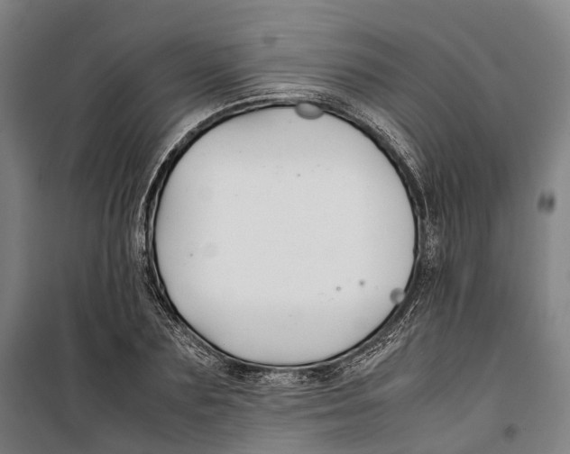 X0000099510883200806121436