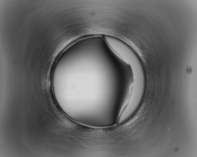 X0000099510885200806121436