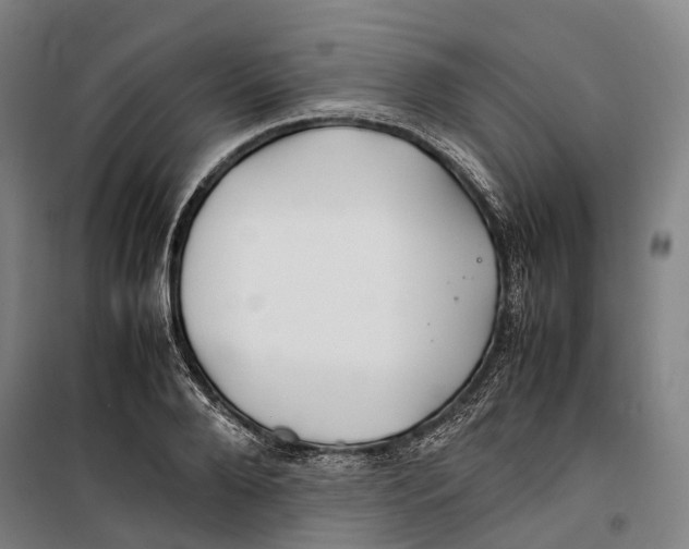 X0000099510888200806121436