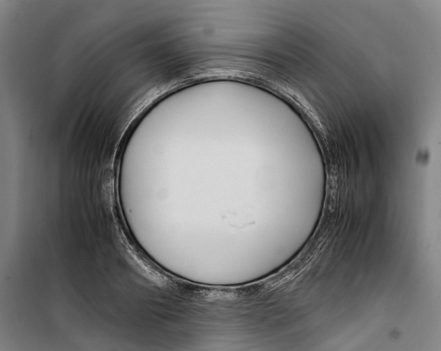 X0000099510890200806121436